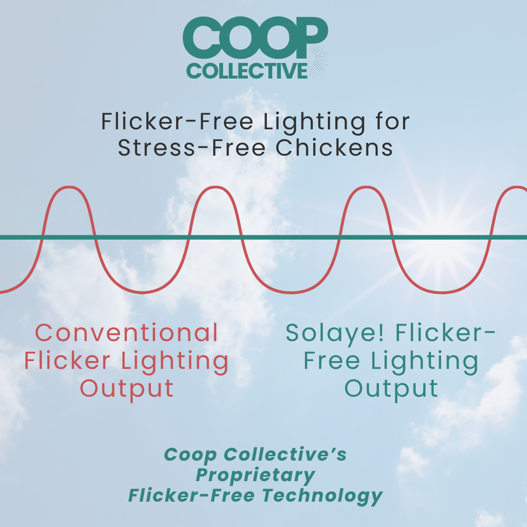 SOLAYE! Fully-Automated Poultry Lighting System | For Coops, Outdoor Brooders and Runs.