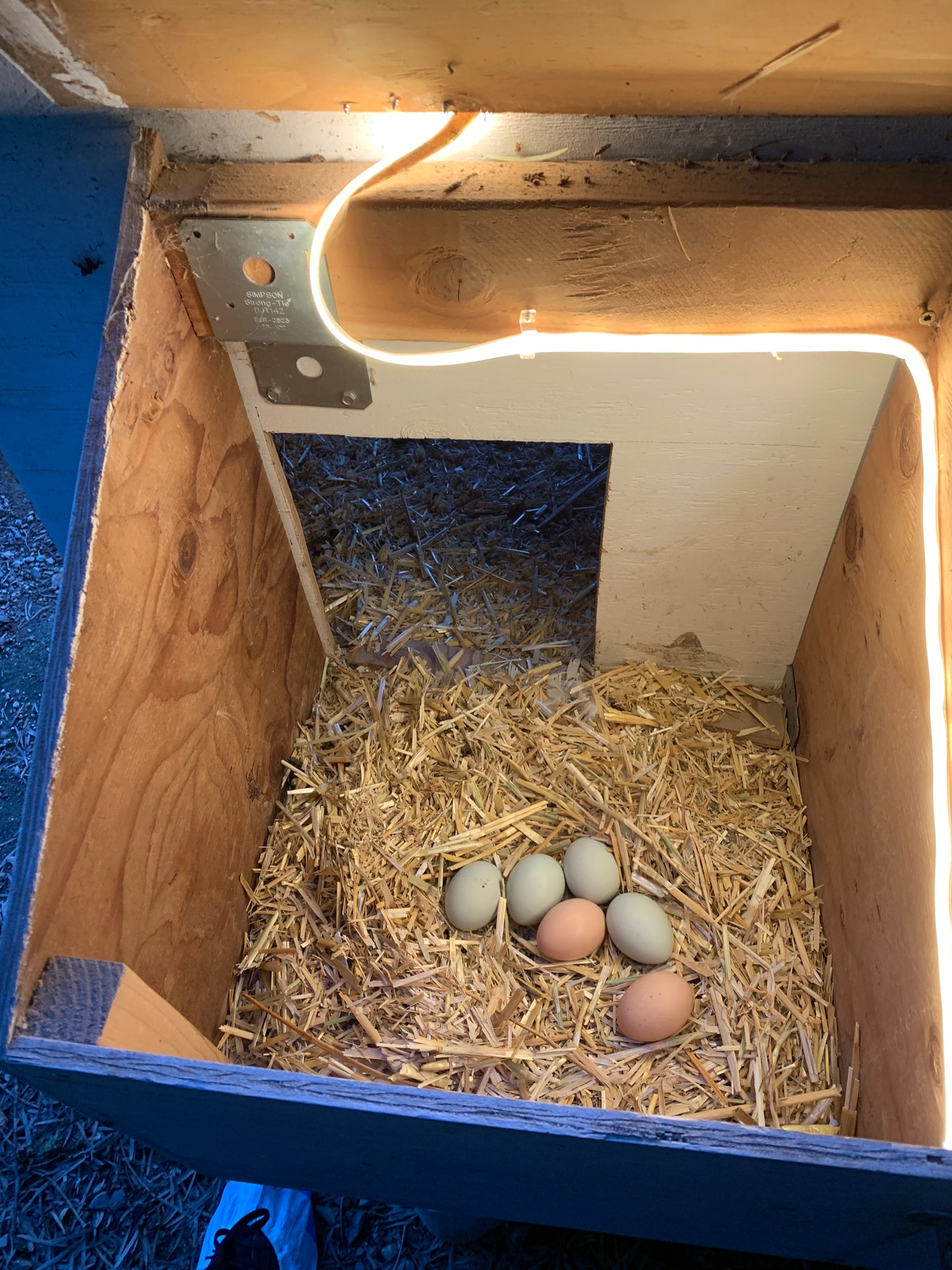SOLAYE! Fully-Automated Poultry Lighting System | For Coops, Outdoor Brooders and Runs.