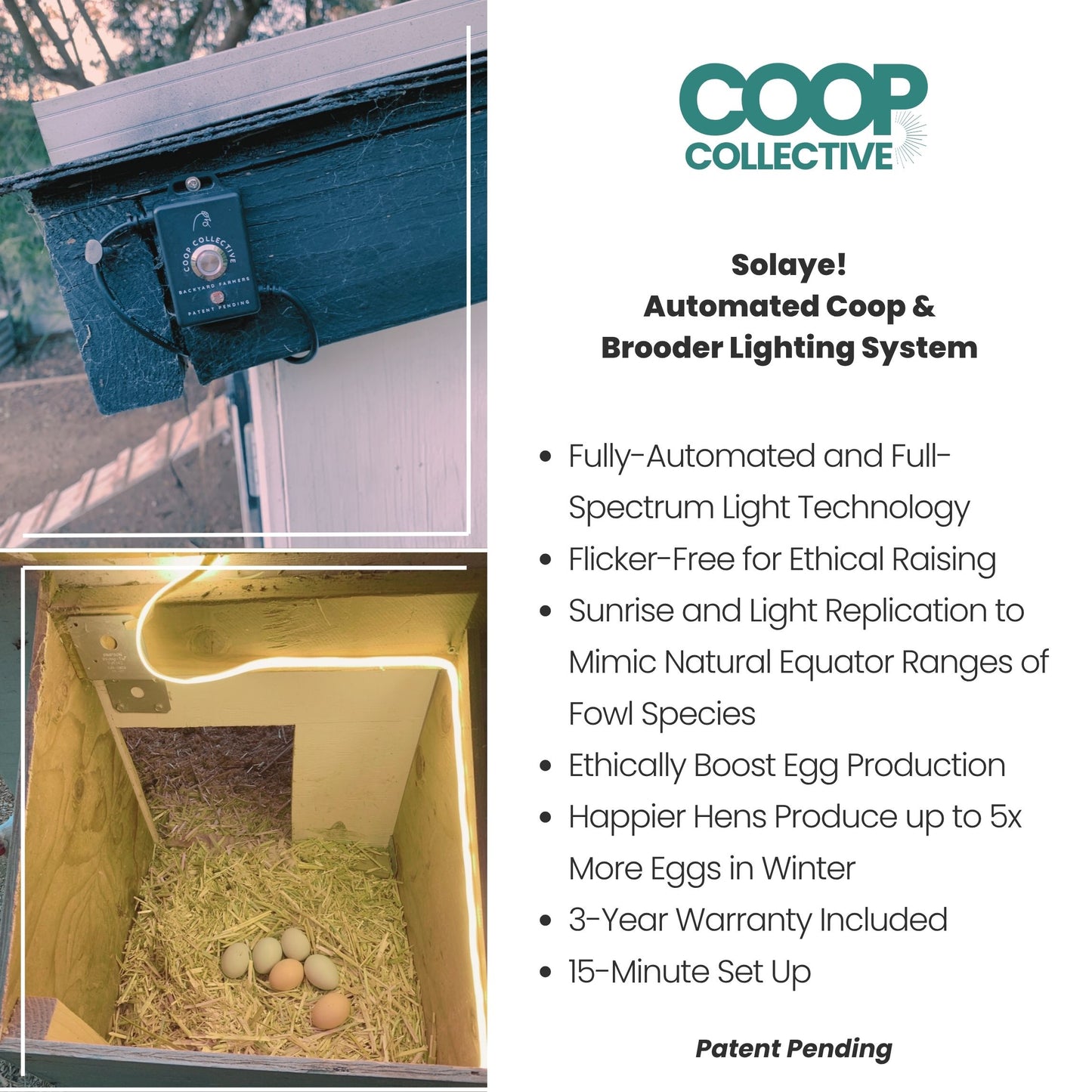 SOLAYE! Fully-Automated Poultry Lighting System | For Coops, Outdoor Brooders and Runs.