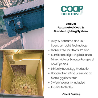 SOLAYE! Fully-Automated Poultry Lighting System w/50' Extension Cord and Waterproof Electrical Junction Box | For Coops, Outdoor Brooders and Runs.