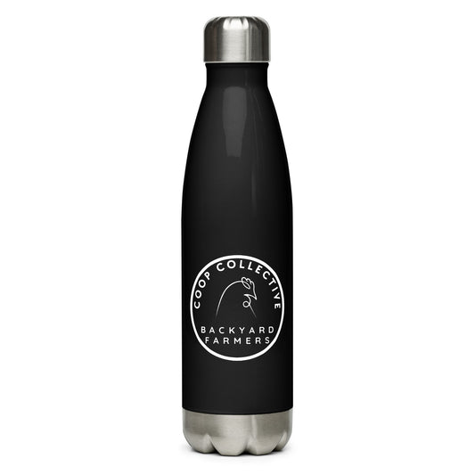 Stainless steel water bottle