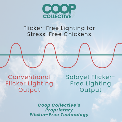 SOLAYE! Fully-Automated Poultry Lighting System w/50' Extension Cord and Waterproof Electrical Junction Box | For Coops, Outdoor Brooders and Runs.